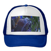 Seahorse Trucker Hat
