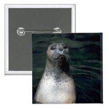 Seal Buttons