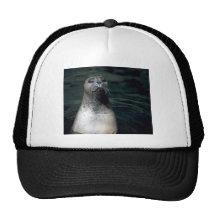 Seal Mesh Hat