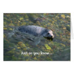 Seal of Approval Card