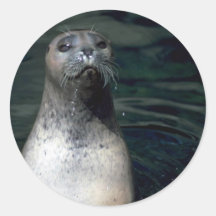 Seal Round Sticker