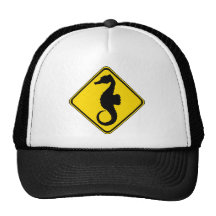 Searhorse Crossing ! Mesh Hat