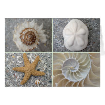Seashell Collage Cards