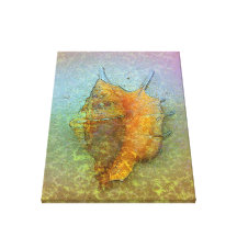 SEASHELL Wrapped Canvas Print