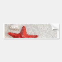 seashells and starfish bumper sticker