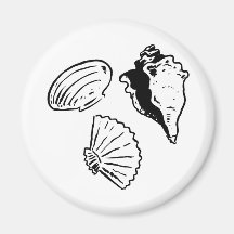 seashells fridge magnets