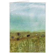 seashells greeting cards