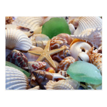 Seashells Starfish & Beach Glass Postcard