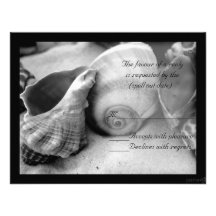 seashells white sand bw rsvp invitations