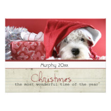 season greeting christmas pet photo cards personalised announcements