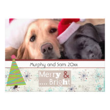 season greeting christmas pet photo cards announcement