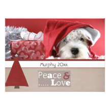 season greeting christmas pet photo cards custom invitation
