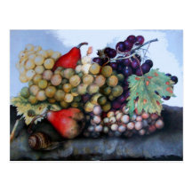 SEASON'S FRUITS 1 POSTCARD