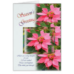Season's Greeting Card - Pink Poinsettias