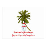 Season's Greetings from N. Carolina, Snowman palm Post Cards