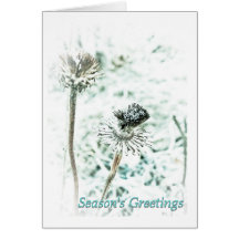Season's Greetings Greeting Card