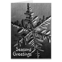 Seasons Greetings Greeting Cards