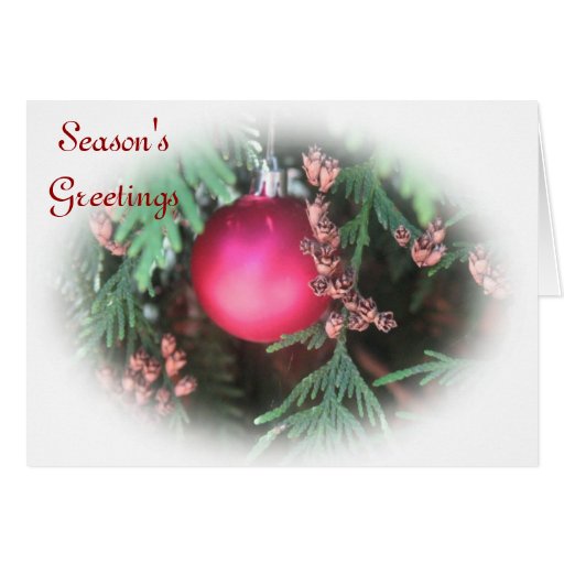 Season's Greetings Holiday Card