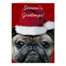 Season's Greetings pug greeting card