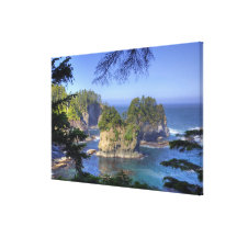 Seastacks, Makah Nation Tribal Lands, Cape Canvas Prints