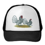 Sebright Bantams:  Silver Hats