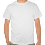 Second Amendment Protects First Amendment T-shirt