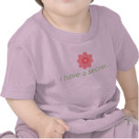 Secret Big Sister Tee Shirt
