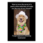 Secret of a Great Smile Greeting Cards