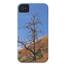 Sedona Mountain trails iPhone 4 Case-Mate Case