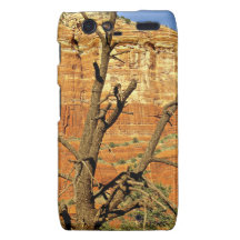 Sedona Mountains dead tree Motorola Droid RAZR Cover