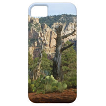 Sedona Mountains trails iPhone 5 Cases