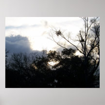 See Me Bird nest Posters