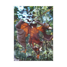 see-through autumnleaf gallery wrap canvas