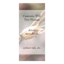 Seed Pod - Nicotiana Customized Rack Card