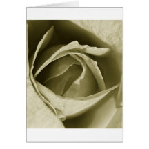 seelegs greeting cards