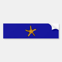 seestern starfish bumper sticker