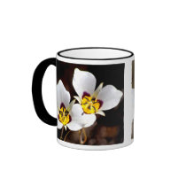 Sego Lily mugs