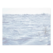 Selawik Refuge in Winter Custom Invites