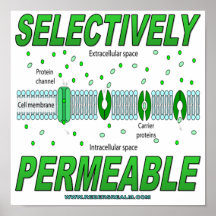 Selectively Permeable Posters
