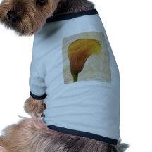 Self Centred Pet Clothing