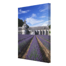 Senanque Abbey, Gordes, Vaucluse, Provence, Canvas Prints