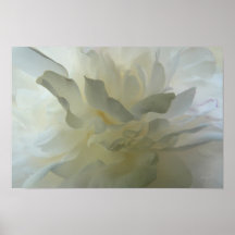 Sensual Delight poster