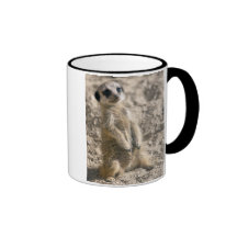 Sentry-in-Training Mug