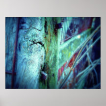 Sepes Stipes Frigus Print