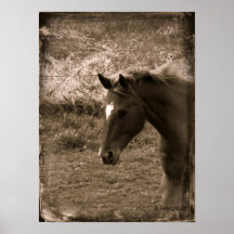 Sepia Grunge Horse Posters