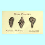 Sepia Sea Shells Business Card Template business cards