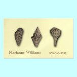 Sepia Sea Shells Mummy ,Calling or Business Card business cards