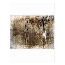 Sepia Waterscape Post Card
