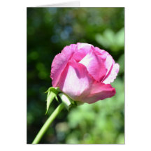 September Rose Bud Card