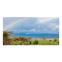 Serengeti Photo Card Template